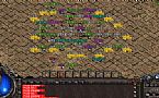 1.76��,���ǲ��쿴ħ�����ְڰ���